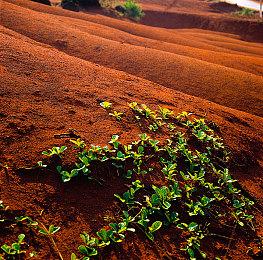 Steam新一周销量榜 《战神4》霸气登顶